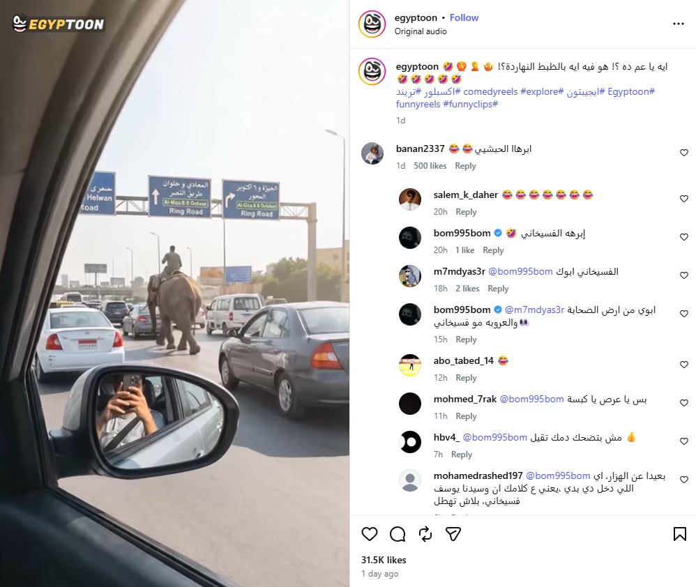 لقطة من الفيديو المنشور في في حساب Egyptoon@ في انستغرام، في 17 ايار 2026