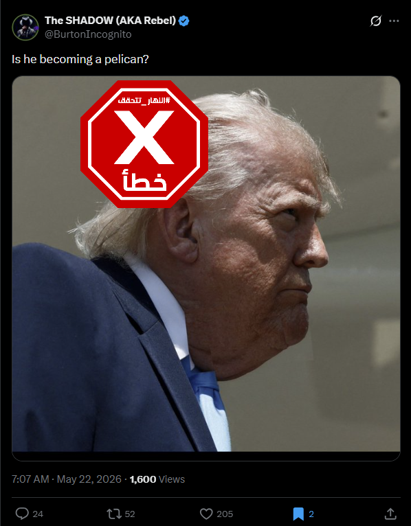 الصورة المتناقلة بالمزاعم الخاطئة (اكس)