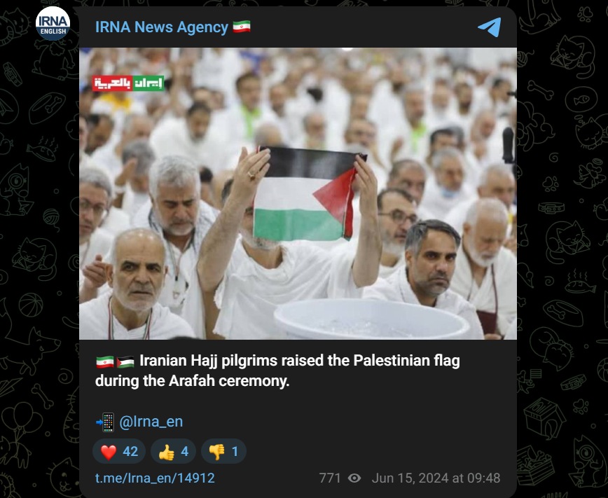 صورة لرفع الحجاج الإيرانيين العلم الفلسطيني خلال مراسم عرفة 2024 (إيرنا- تيليغرام)