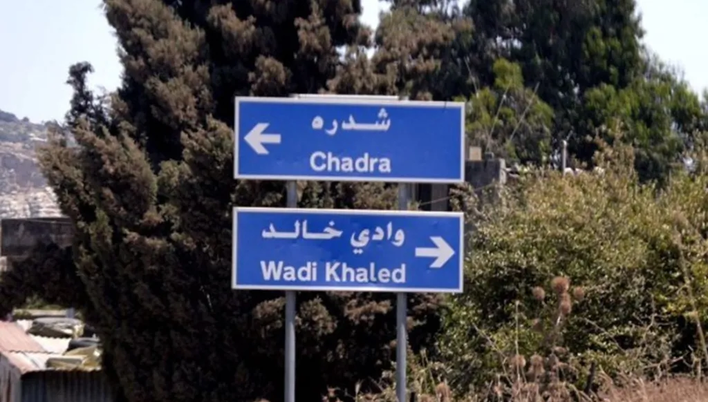 في عكار شمالي لبنان... توقيف فلسطيني بعد محاولة إلقاء قنبلة (فيديو)