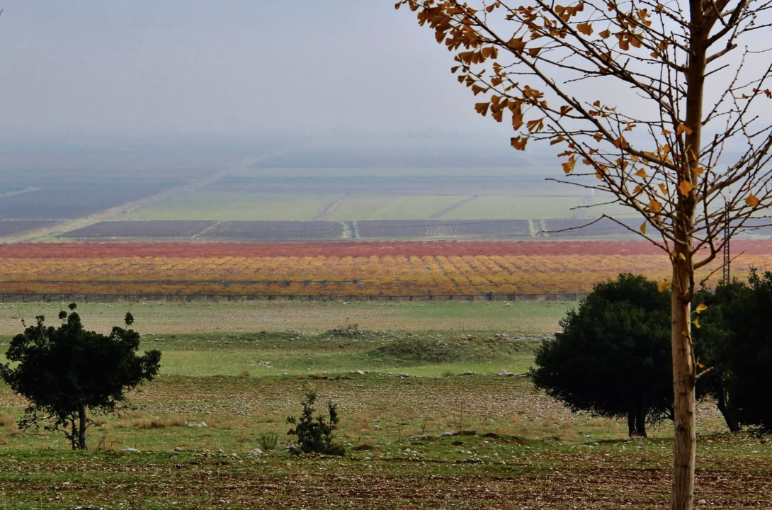 سهل عميق (أرشيفية).