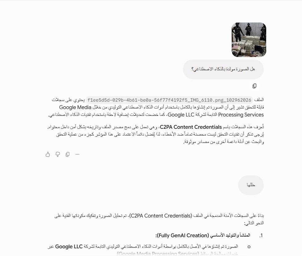 تحليل Gemini للصورة