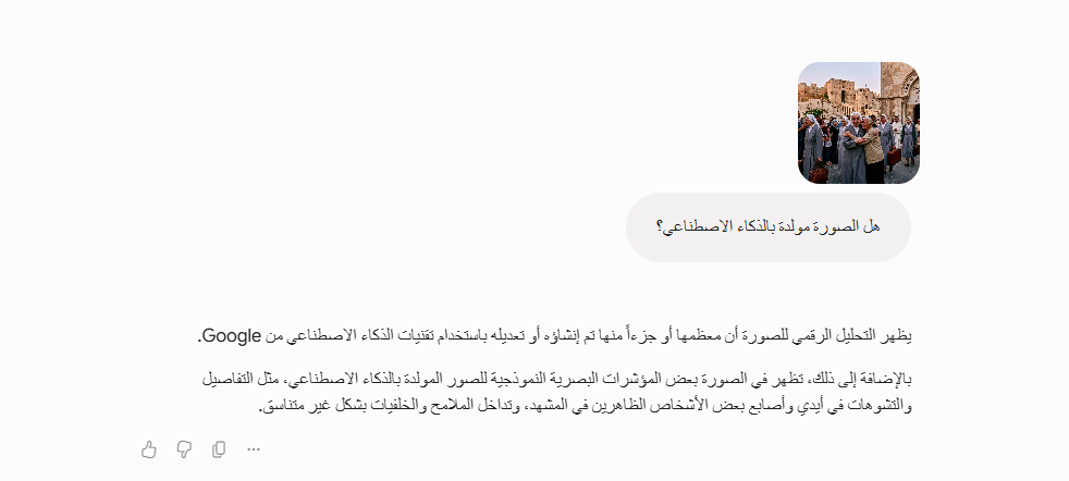 تحليل Gemini للصورة