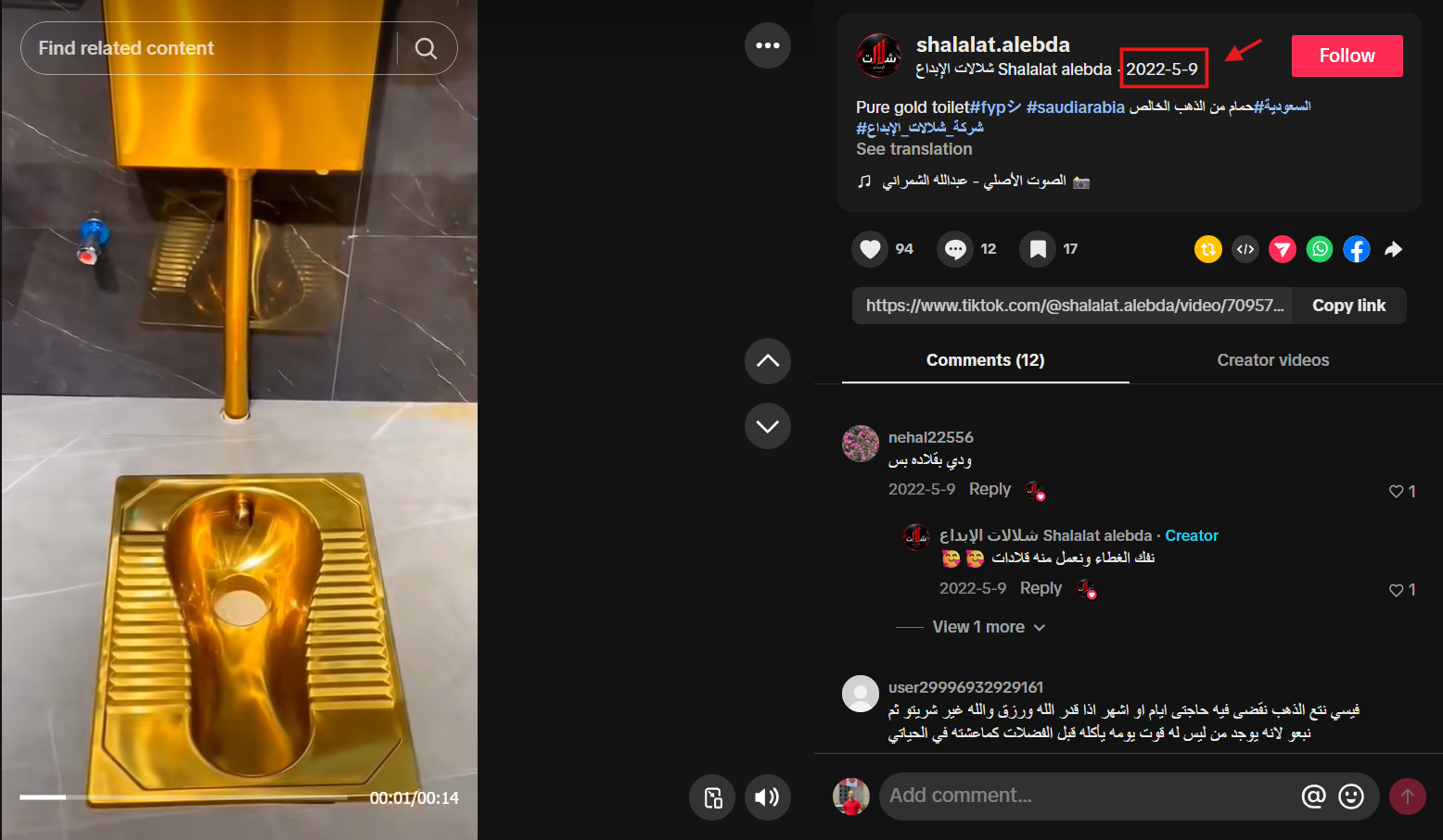 لقطة من الفيديو المنشور في 9 مايو/أيار 2022 (تيك توك)