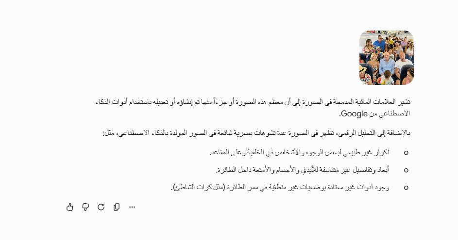 تحليل Gemini للصورة
