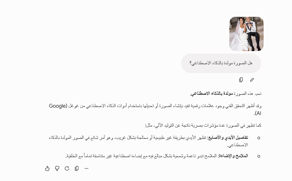 نتيجة تحليل الصورة بواسطة Gemini