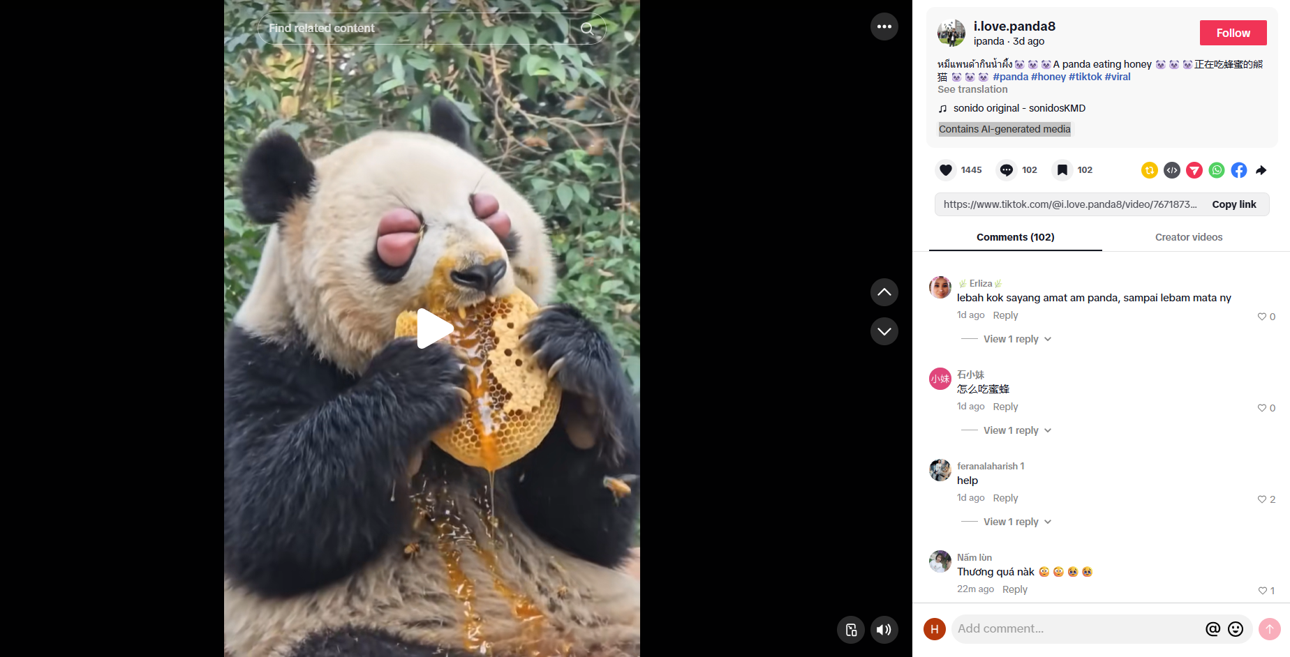 لقطة للفيديو المنشور في حساب i.love.panda8@ في تيك توك، في 9 آب 2026