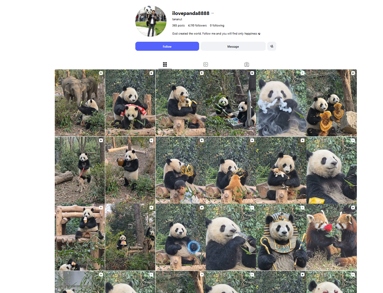لقطة لحساب ilovepanda8888@ في انستغرام