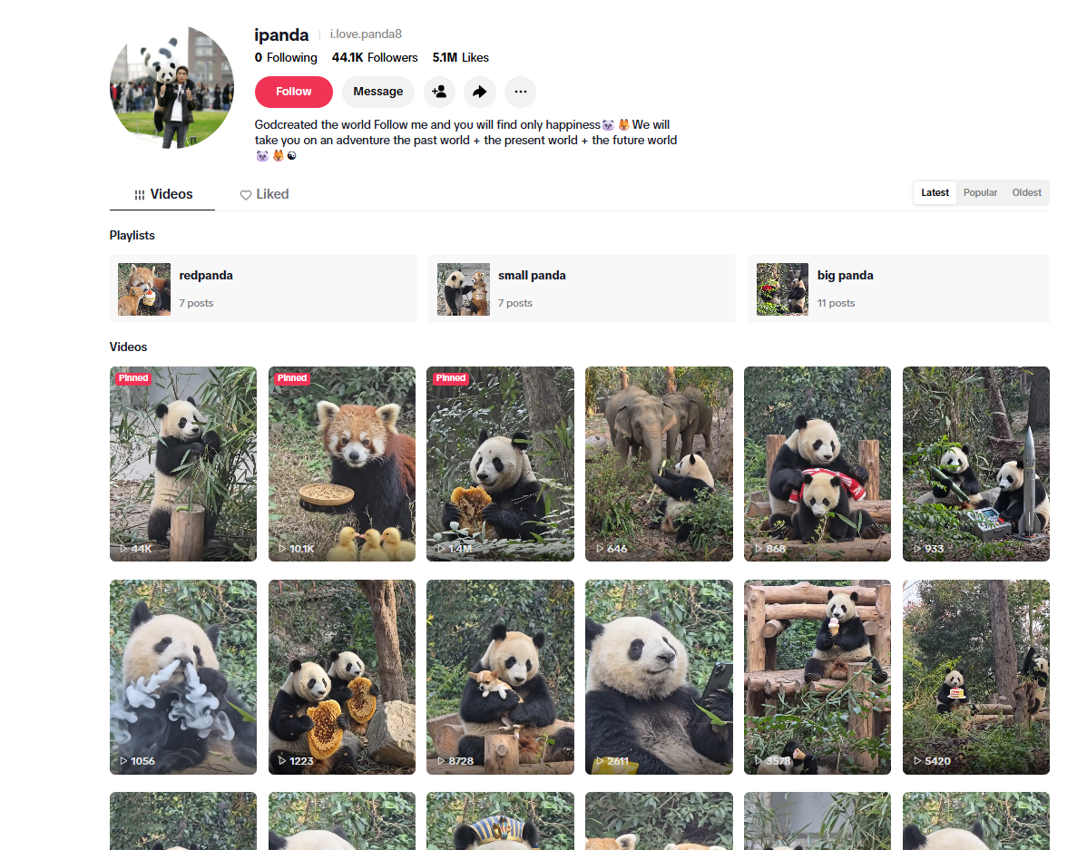 لقطة لحساب i.love.panda8@ في تيك توك