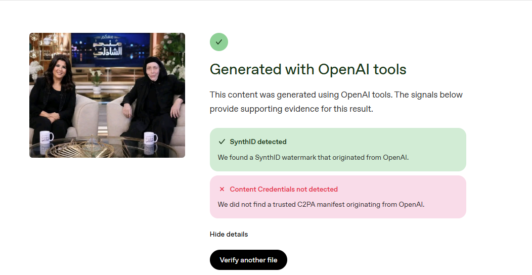 تحليل الصورة بواسطة اداة OpenAI للتحقق