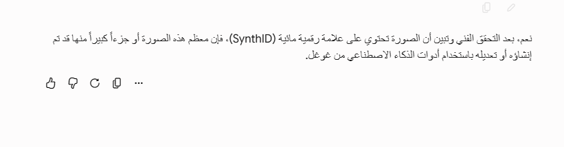تحليل Gemini للصورة