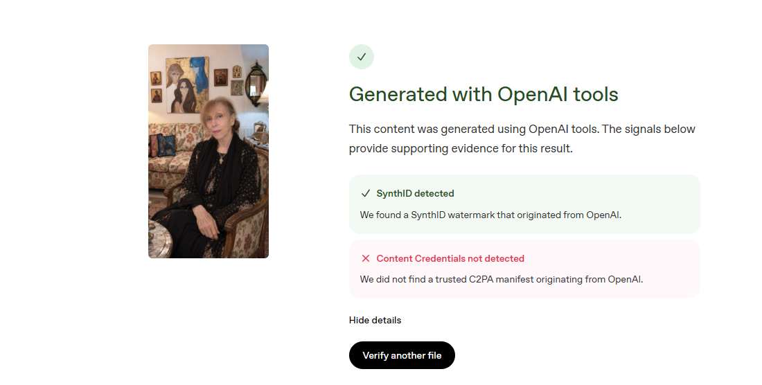 تحليل الصورة بواسطة اداة OpenAI للتحقق