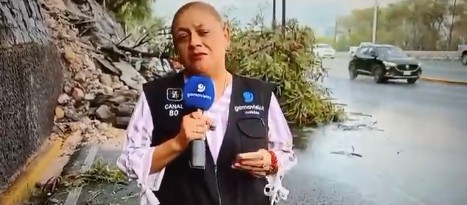 بالفيديو - سيارة تصطدم بمراسلة في المكسيك على الهواء مباشرة