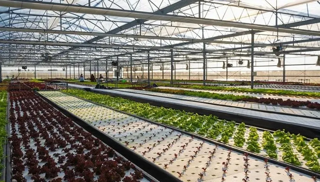 ابتكار تشيلي يوفر كفاءة مائية تصل إلى 95%... هل يهزم الذكاء الاصطناعي الجفاف؟