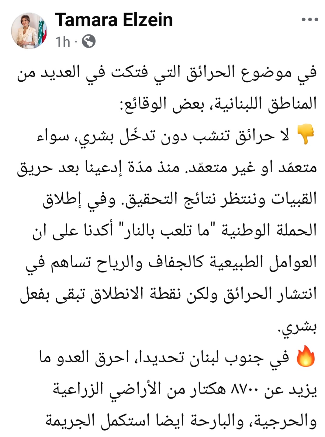 منشور وزيرة البيئة تمارا الزين (فايسبوك)