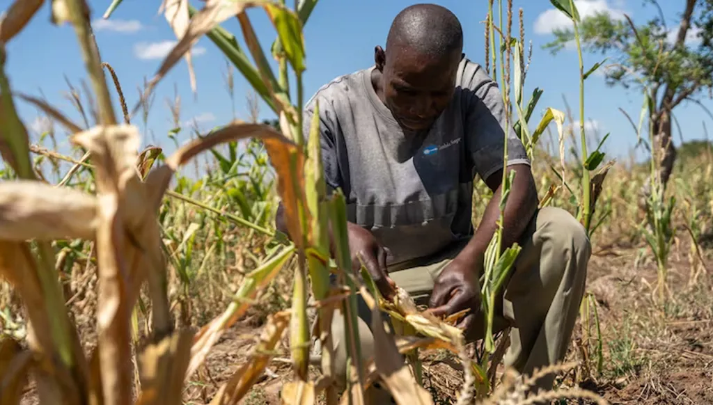 أبو ظبي تطلق منظومة الذّكاء الاصطناعي للتّنمية الزّراعية العالميّة.. لزراعة أكثر استدامةً وتطوراً