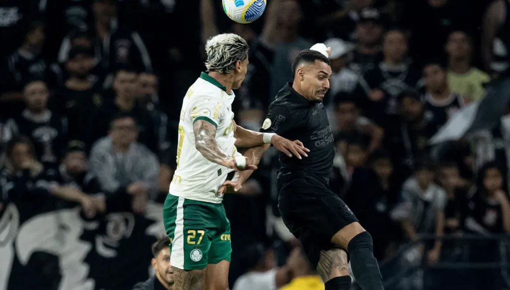 رأس خنزير على أرض الملعب في قمّة الدوري البرازيلي (فيديو)