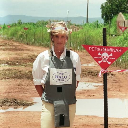 الأميرة الراحلة ديانا (منظمة 