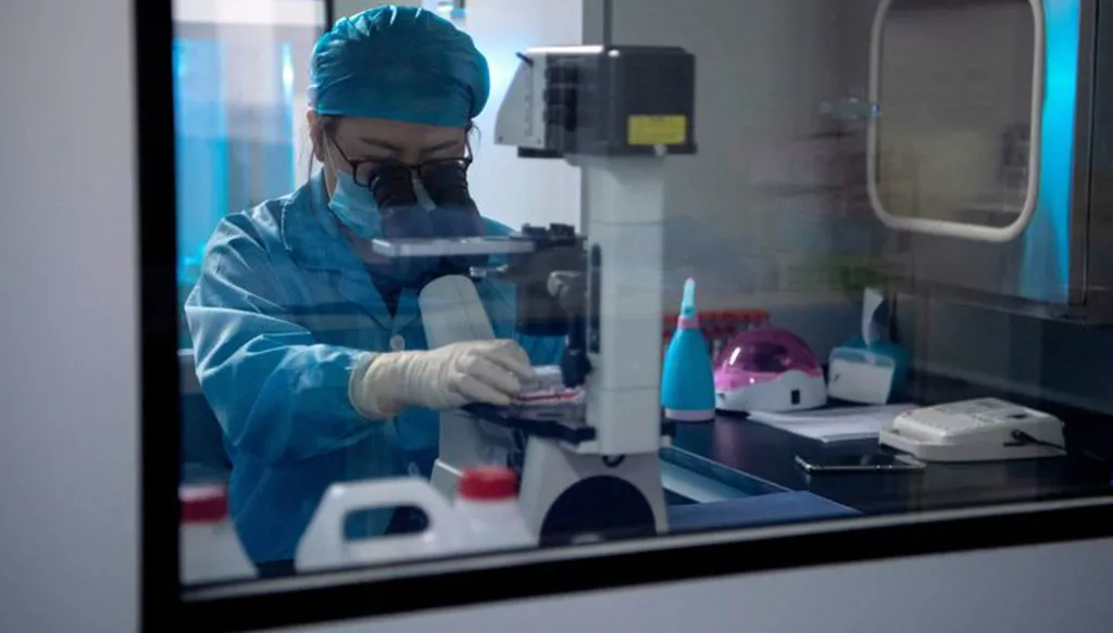 باحثون صينيون يسجّلون سبقاً طبياً بزراعة كبد خنزير للمرة الأولى في جسم إنسان