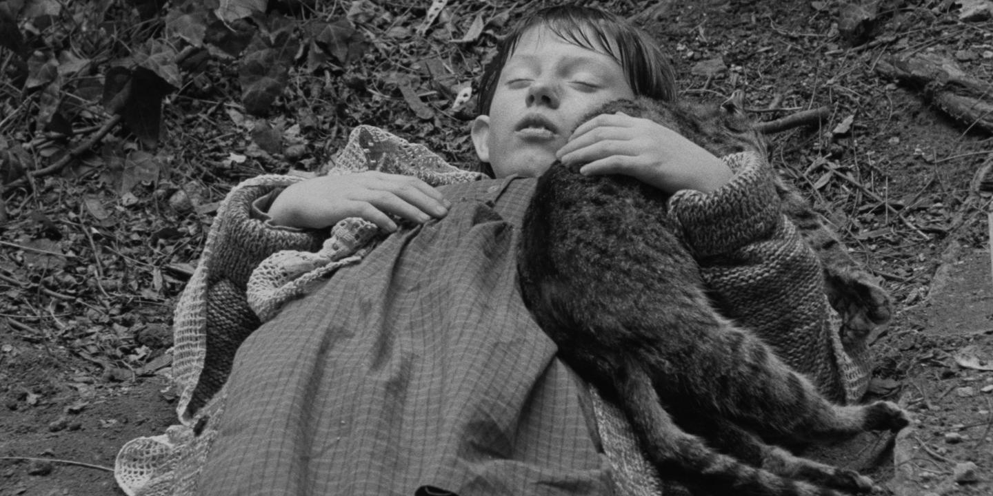 ”تانغو الشيطان“ لبيلا تار.