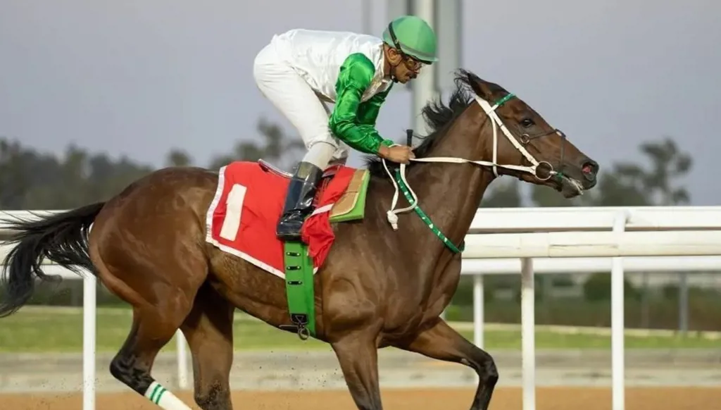 انطلاق موسم سباقات الطائف بحضور الأمير بندر بن خالد الفيصل