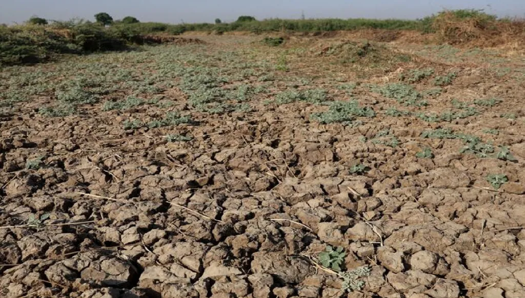 نباتات مهددة بالانقراض بسبب التغير المناخي