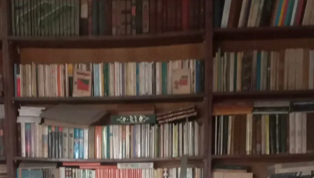 The private library of poet Mohamad Nassereddine