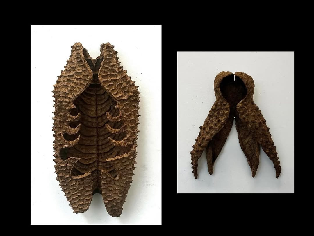 راما دواجي تكشف قائمة إلهام فنية لشهر أكتوبر (انستغرام)