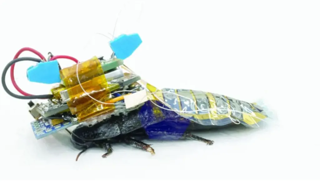 ابتكار مذهل... "صرصور إلكتروني" يزحف ويسبح ويتحمل ضغط 60 كيلوغراماً!