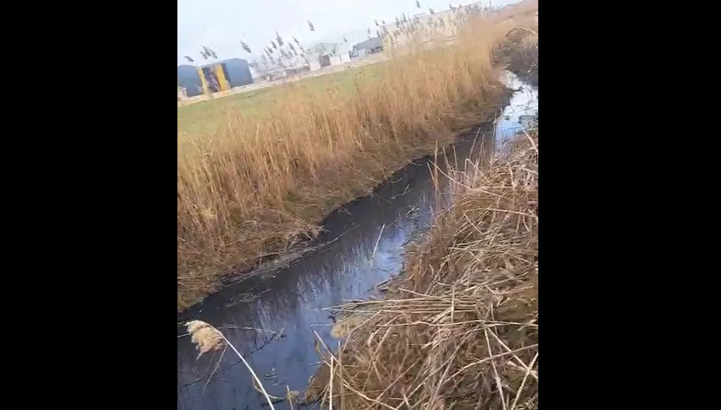 بالفيديو- تدفّق مياه صرف صحي مصدرها تعنايل في نهر الليطاني... "أضرار خطرة" على الصحة العامة