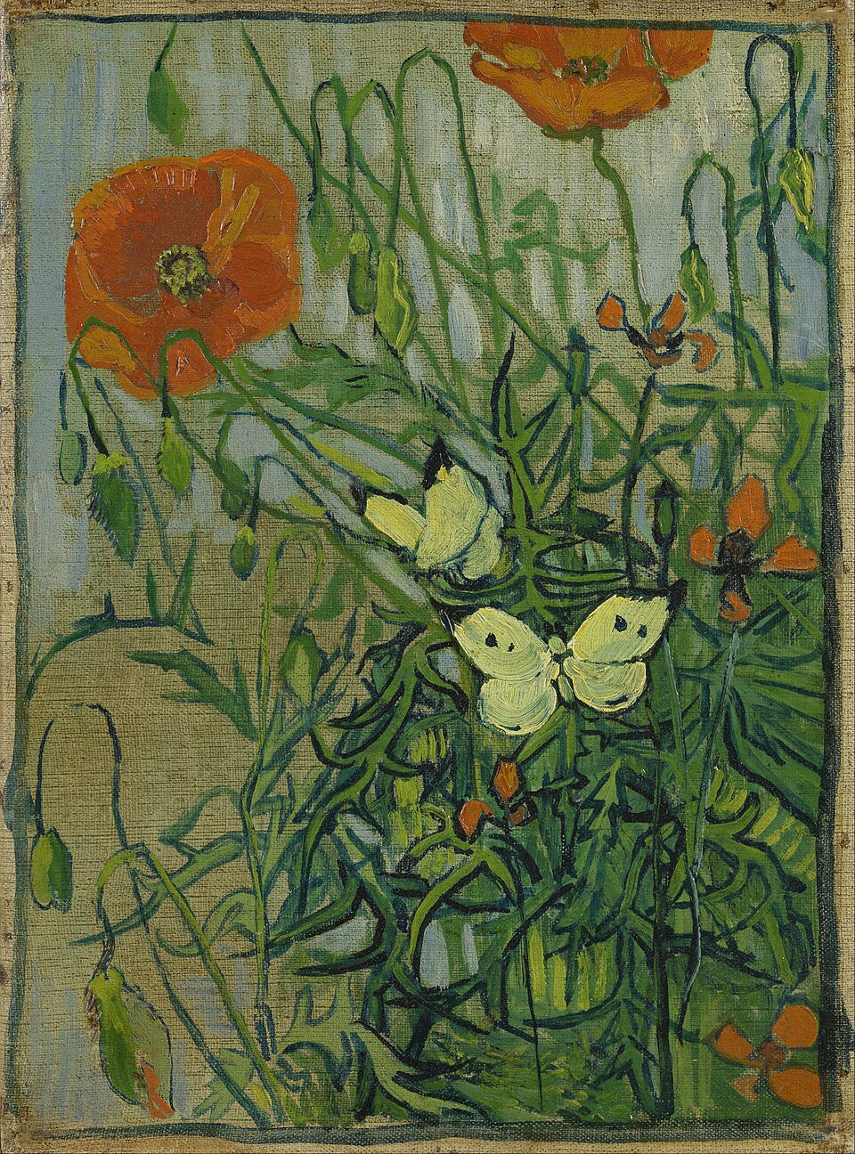 لوحة "الفراشات والخشخاش" (Van Gogh Museum)