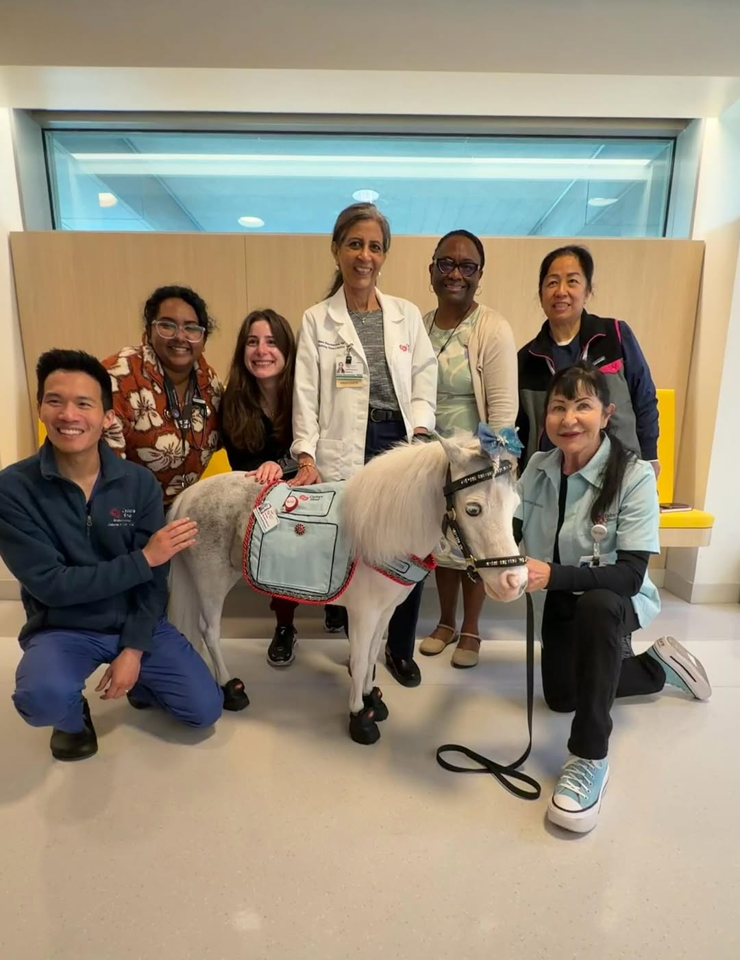 الطاقم الطبي برفقة أحد الخيول (إنستغرام).