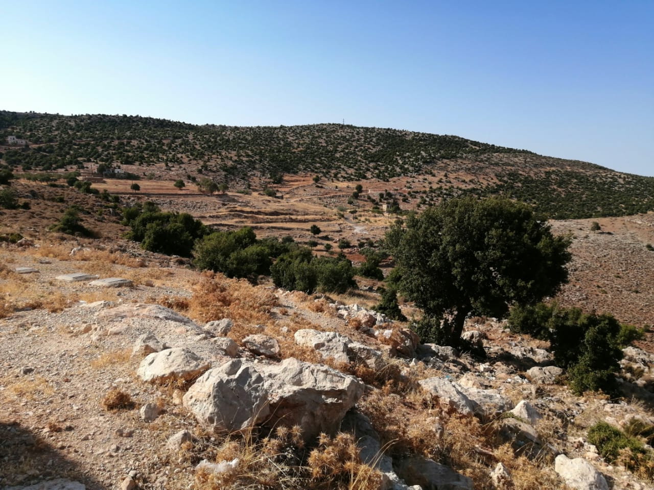 البحث عن مفقودين مستمرّ في حارة صيدا والصرفند وقصف عنيف جنوباً وبقاعاً (فيديو)