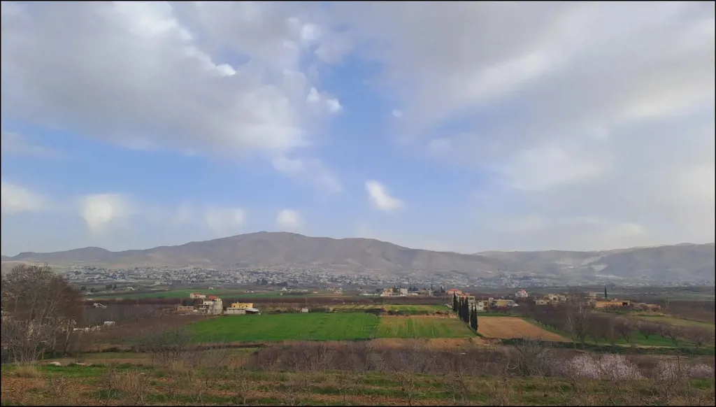 بعلبك - الهرمل خلف الجدران: أبناء وآباء ضحايا سموم الترويج