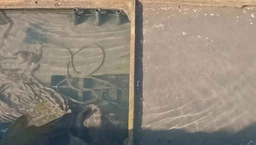 صيادو الأسماك تفقّدوا مراكبهم في ميناء الناقورة بعد انتشار الجيش اللبناني (صور - فيديو)