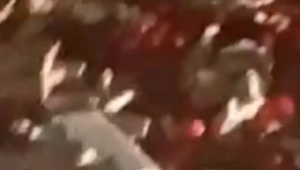 انقلاب شاحنة دخلت من سوريا إلى لبنان... ماذا كان على متنها؟ (صور - فيديو)