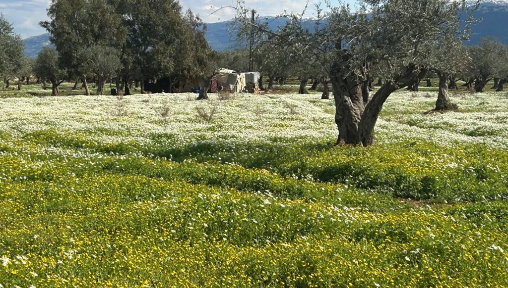 بالفيديو والصور - طقس شتوي جليدي يسيطر على المناطق الشمالية اللبنانية