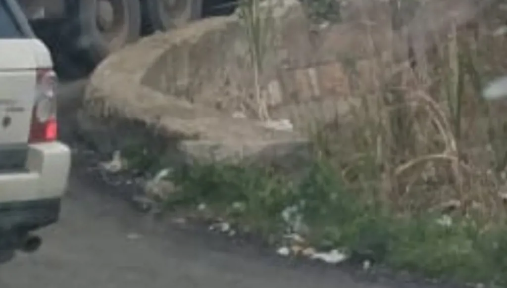 تعطل شاحنة على كوع عاريا