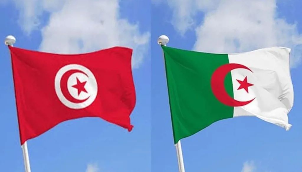 الجزائر - تونس... مرسوم رئاسي يُقر بتسليم المجرمين بين البلدين