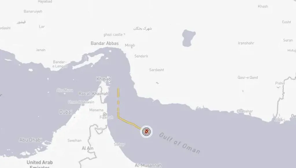 سفن روسية وصينية وإيرانية تدربت على إطلاق المدفعية بخليج عمان (فيديو)