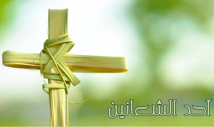 أحد الشعانين. (تعبيرية)