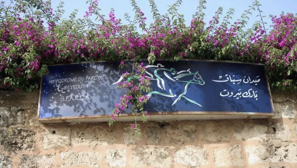 ميدان سباق الخيل في بيروت (وكالات). 