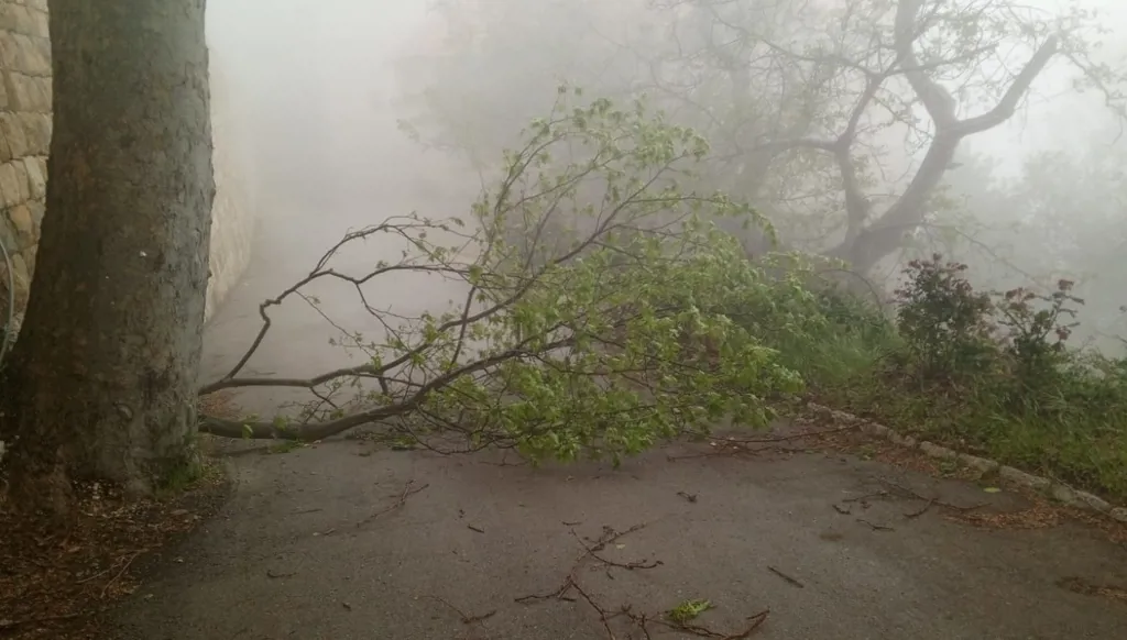 بالصور - أضرار العاصفة "المجنونة" التي ضربت لبنان تتكشّف... ماذا عن طقس اليومين المقبلين؟