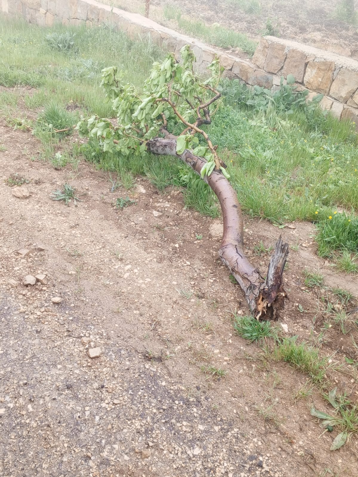 العاصفة في إهدن (مراسل 