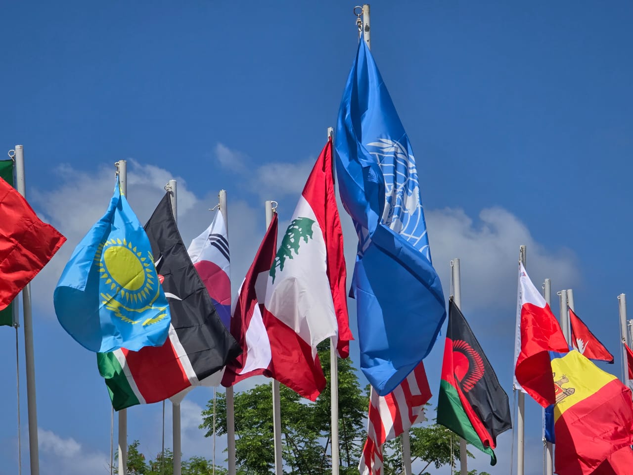 اليوم الدولي لجنود حفظة السلام (أحمد منتش)