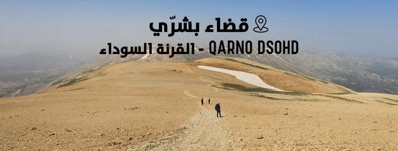 صورة نشرتها ستريدا جعجع في فايسبوك. 