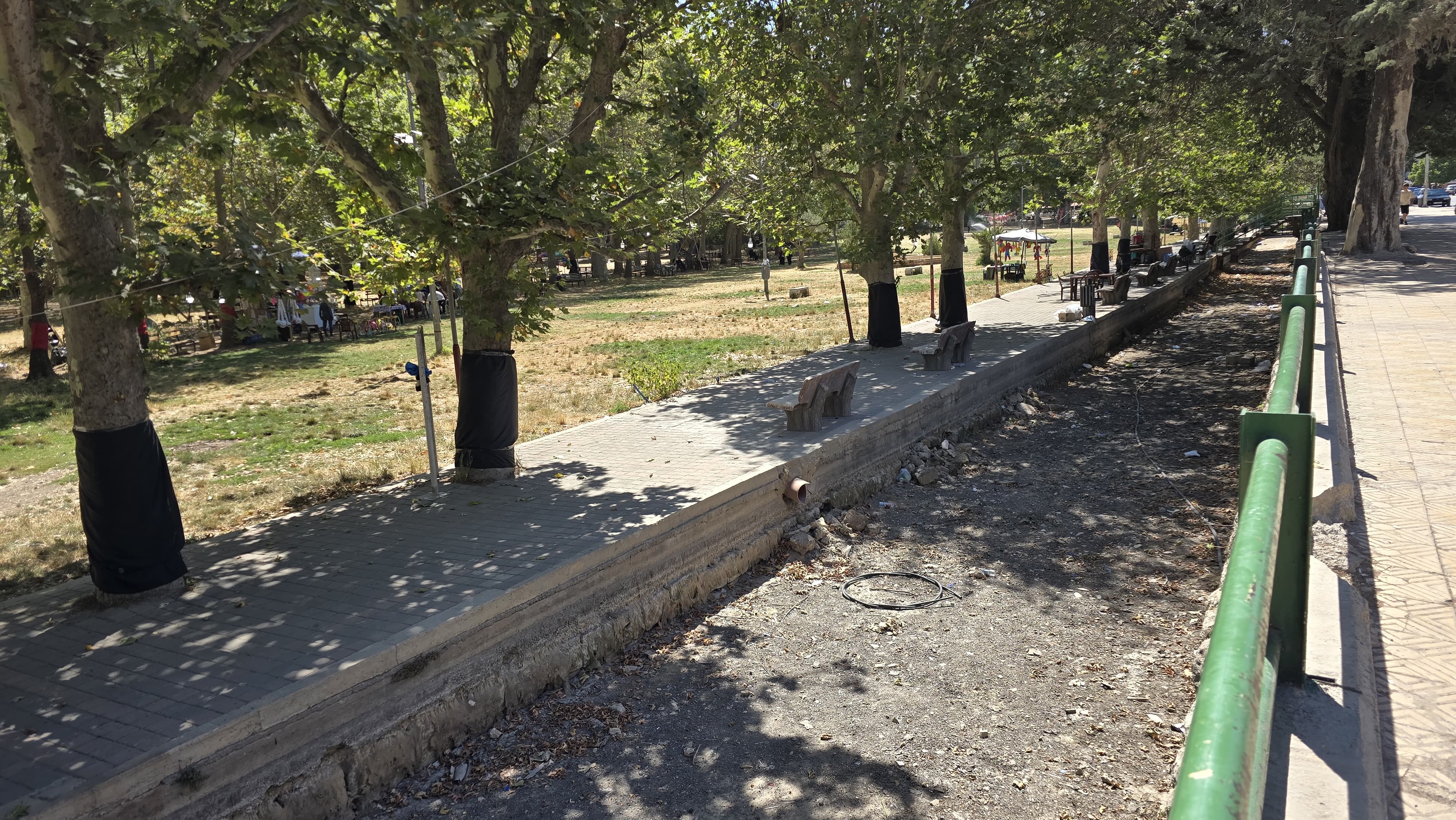 الجفاف في مرجة رأس العين (تصوير لينا اسماعيل).