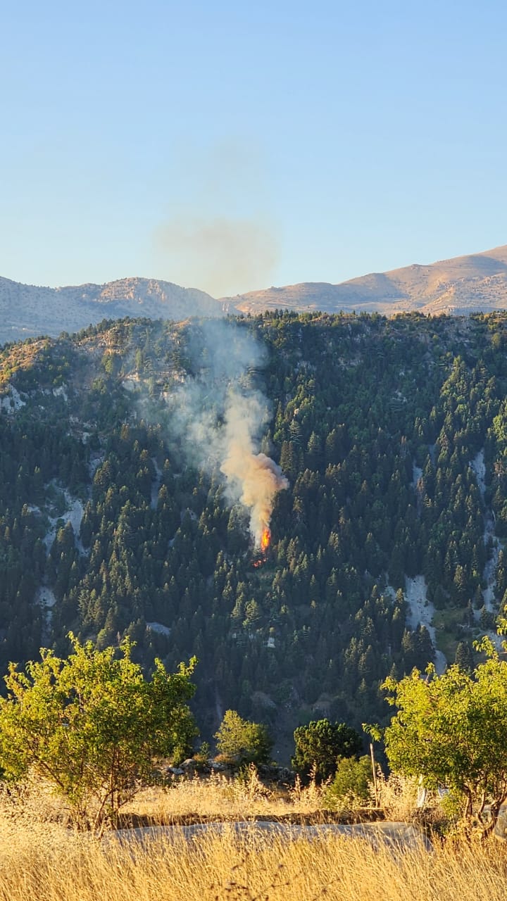 الحريق في غابة القلة (مواقع)