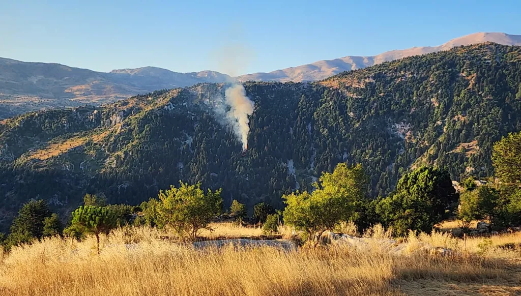 اندلاع حريق في غابة القلة أعالي جرد مشمش- عكار (صور)