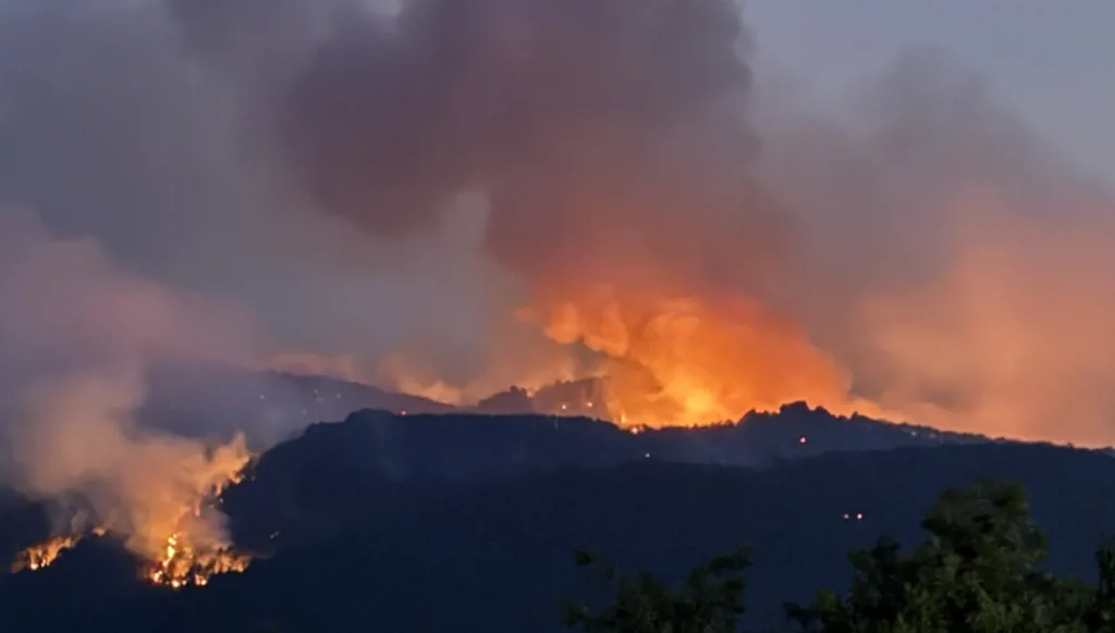 وفاة 10 وإصابة 14 في حريق غابات بوسط تركيا (فيديو)